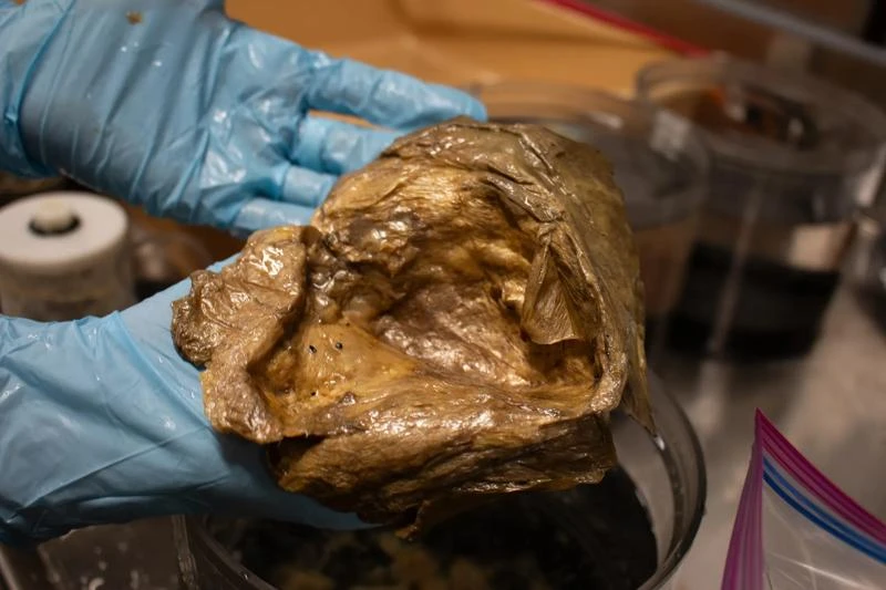 U.S. scientists solve the mystery of a golden orb discovered in the deep sea. Here’s what it really is