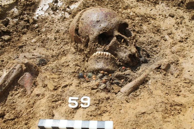 What happened after the fall of Rome? Ancient genomes offer new clues
