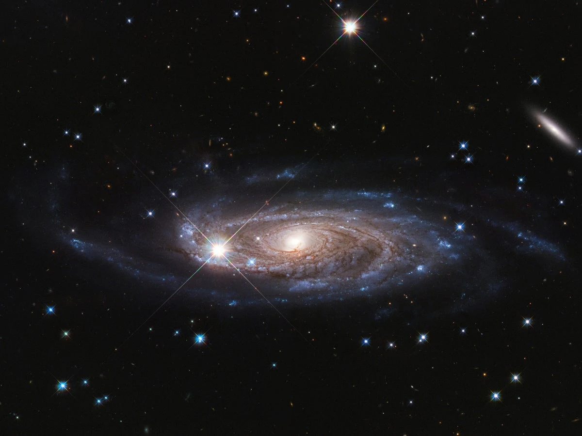 How big can a galaxy get?
