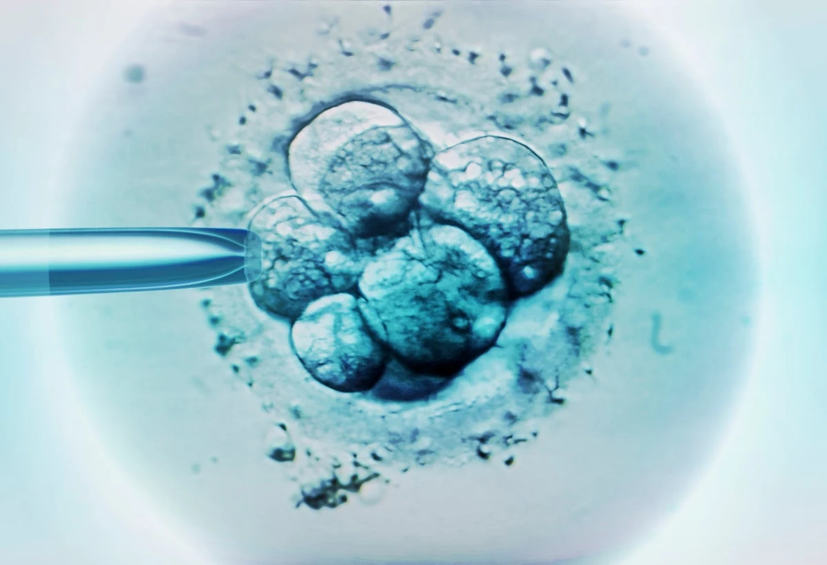 China just launched a bunch of fake human embryos into space on a new research mission