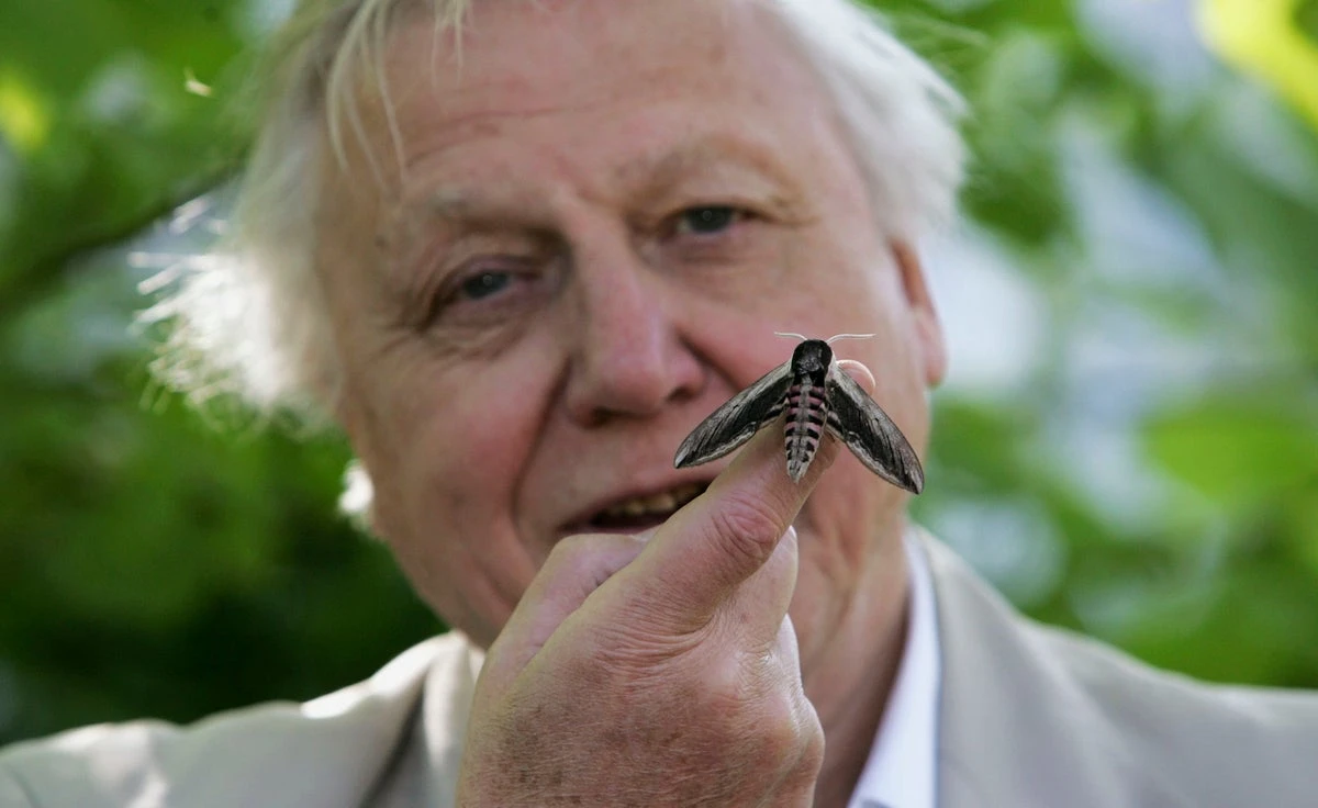 David Attenborough celebrates his 100th birthday