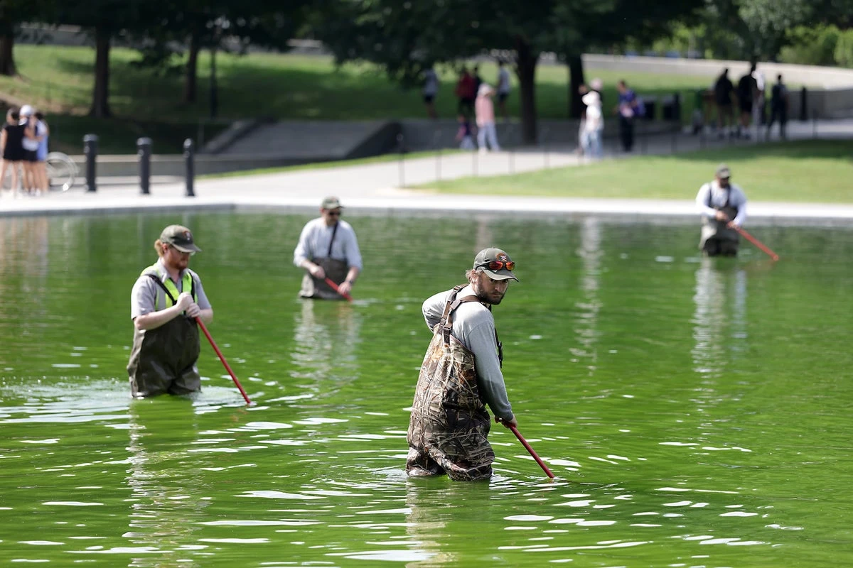 A water treatment expert on what could actually fix the Reflecting Pool