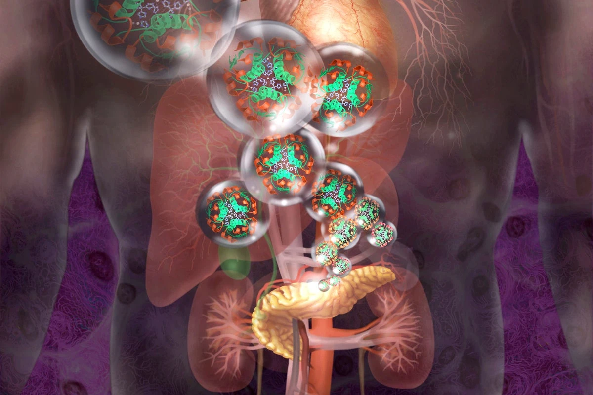 Type 1 Diabetes Patient’s Insulin Production Restored with New Cell Transplant Therapy 