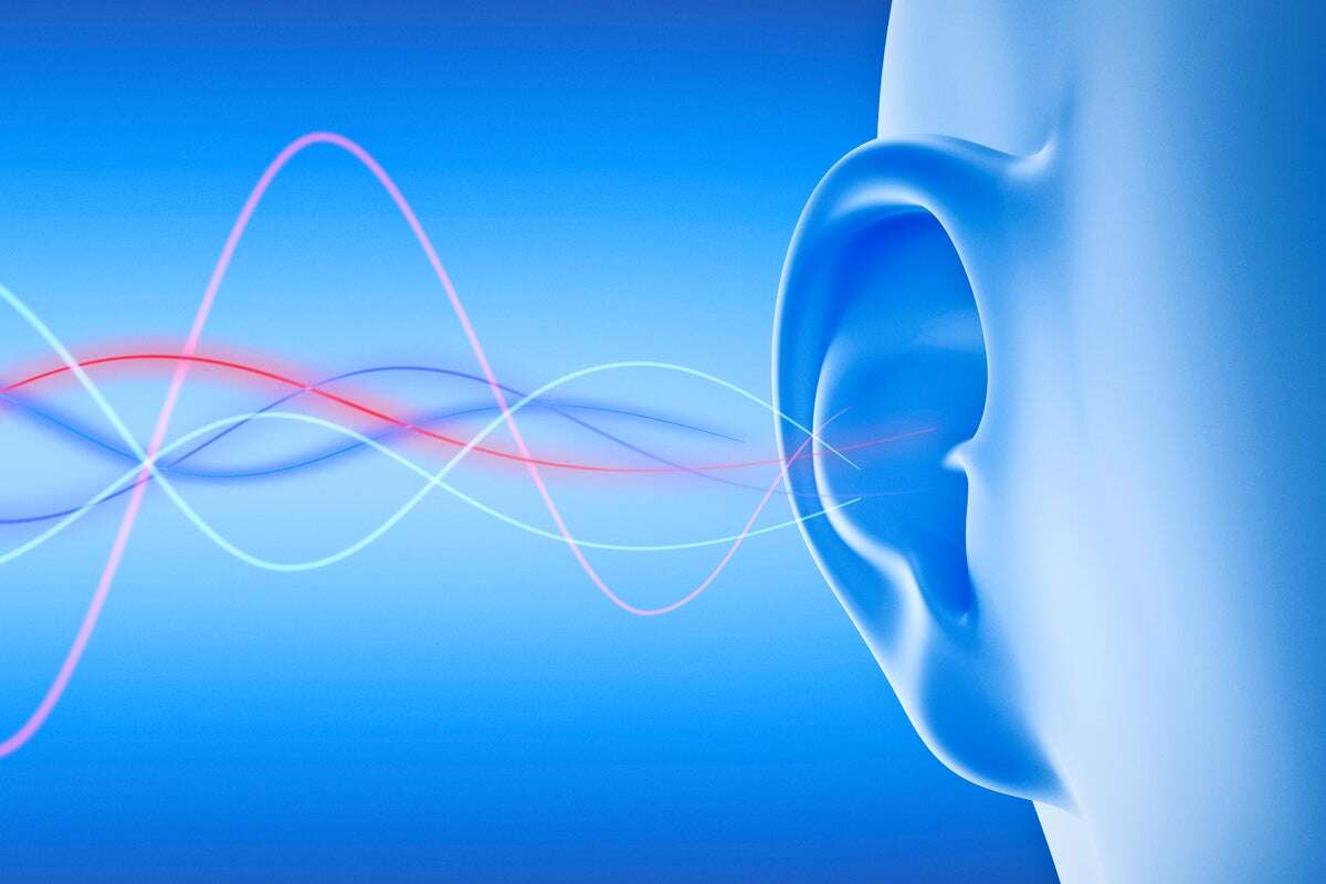 How Your Brain Tells Speech and Music Apart