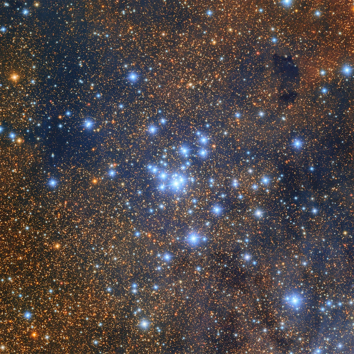 The Local Universe May Be Misleading Cosmologists about Dark Energy and Expansion