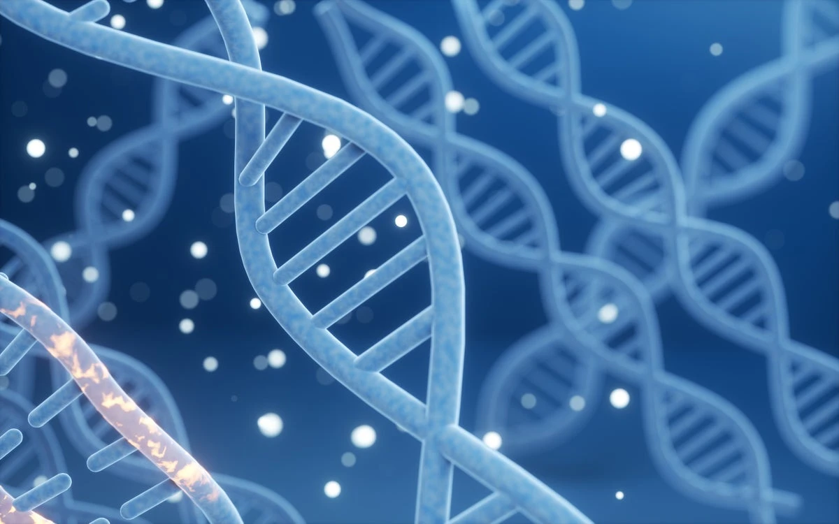 New DNA Search Engine Brings Order to Biology’s Big Data