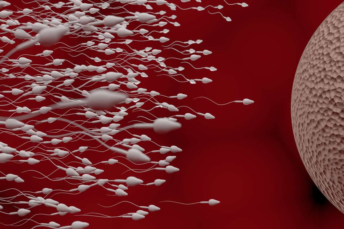 More Men Are Getting Vasectomies Since Roe Was Overturned