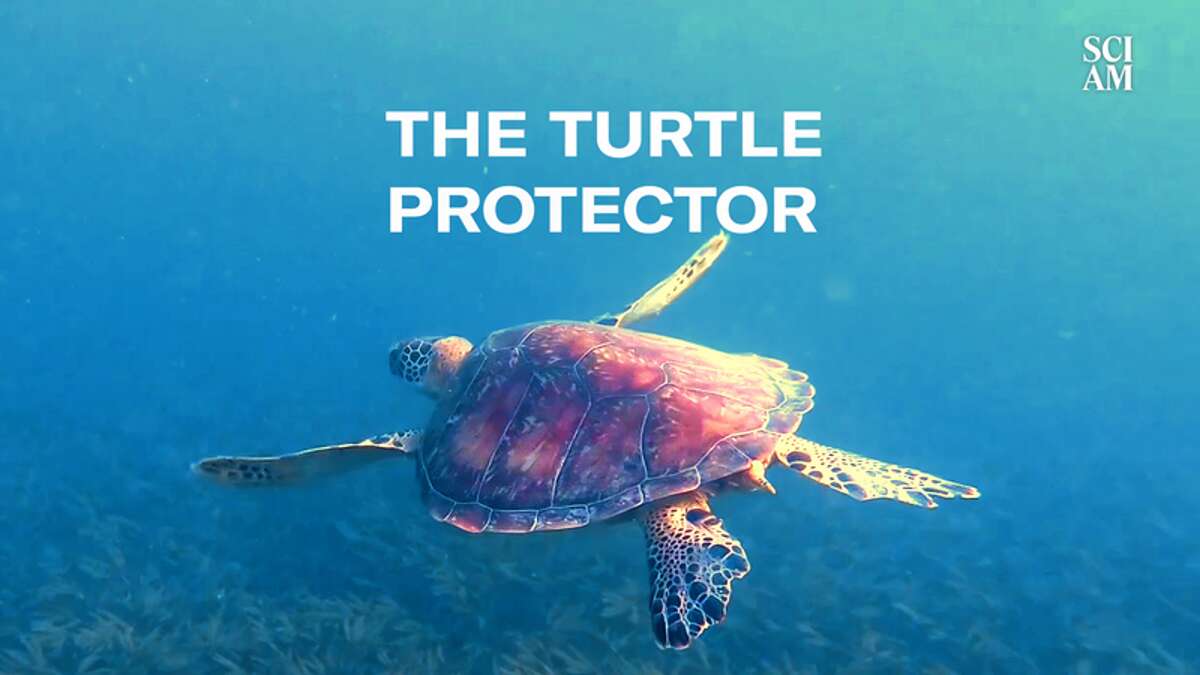 This Antipoaching Unit in Kenya is Saving Sea Turtles