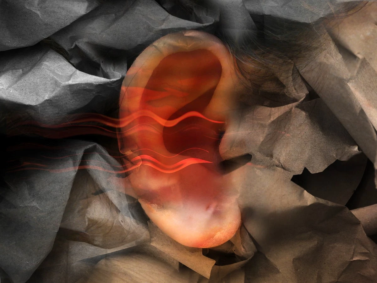 Not Everyone with Schizophrenia Hears Voices. Here’s Why