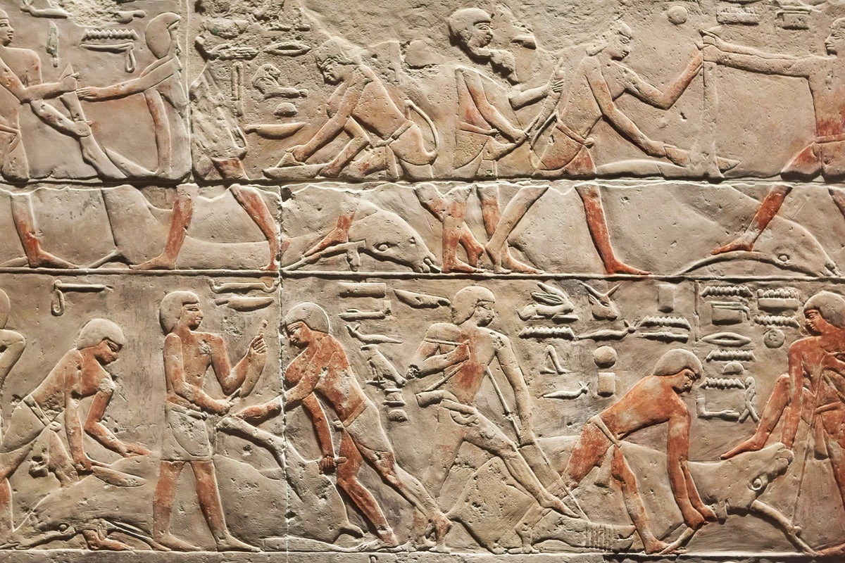 First Human Genome from Ancient Egypt Sequenced from 4,800-Year-Old Teeth