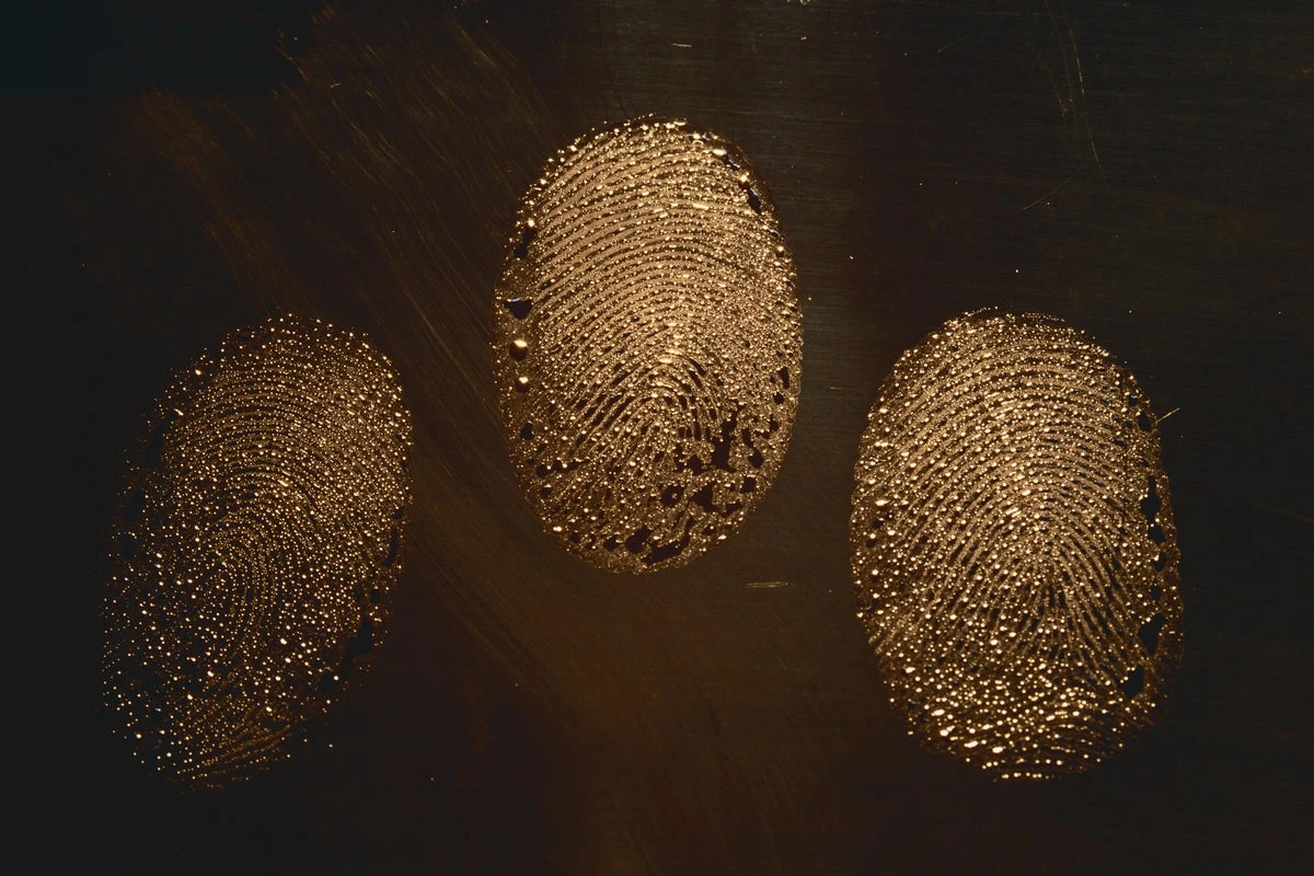 Climate Change’s Fingerprints Came Early, a Thought Experiment Reveals