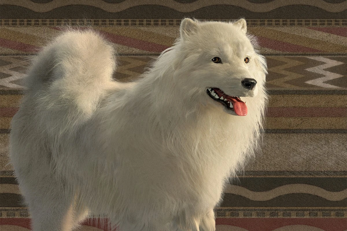Lost 'Woolly Dog' Genetics Highlight Indigenous Science