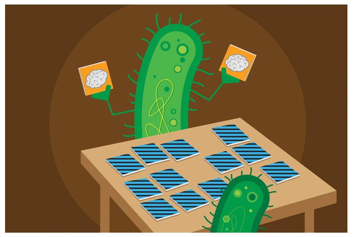 Bacteria Make Decisions Based on Generational Memories