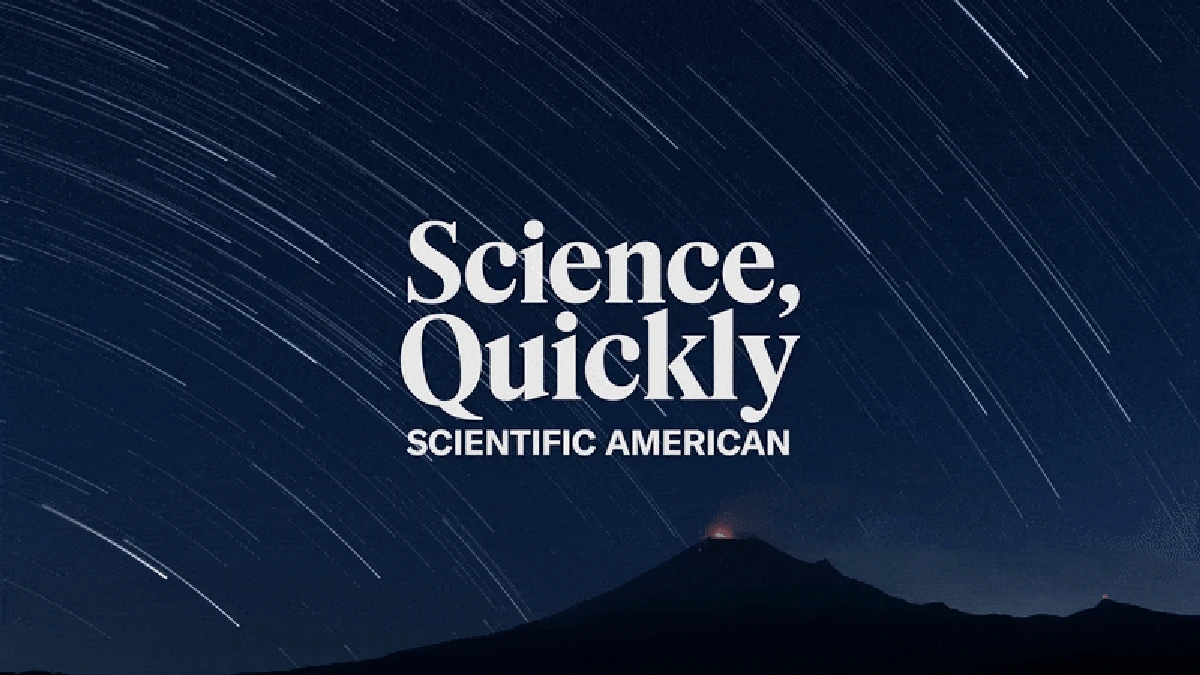 The Strange and Beautiful Science Of Our Lives