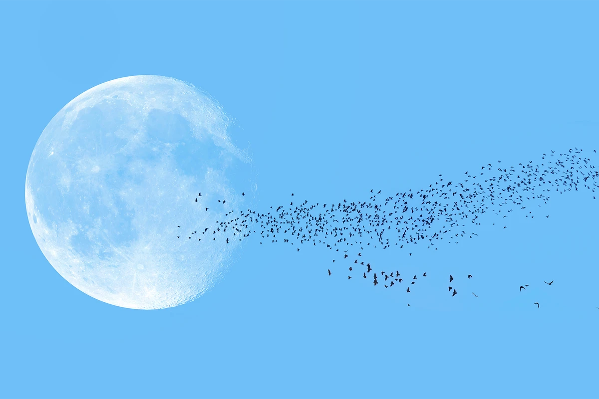 Human Remains Are Headed to the Moon, Despite Objections