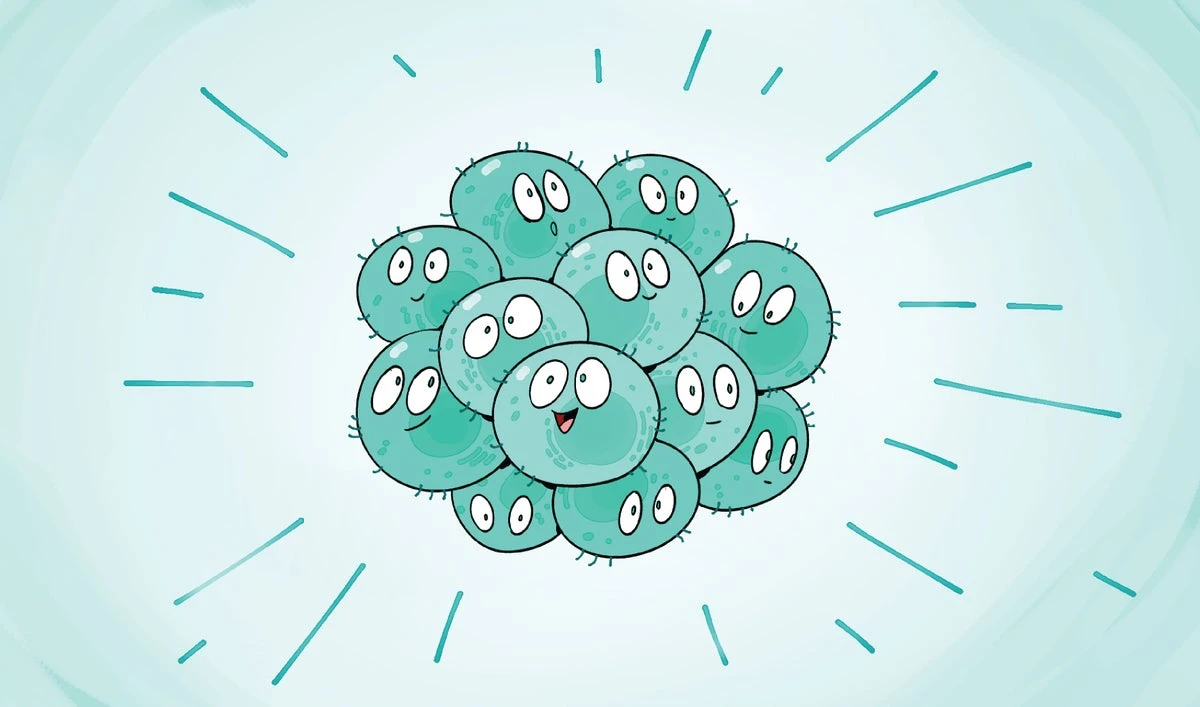 A Comic Guide to the Evolution of Ancient Cells into Complex Brains
