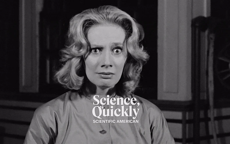 The World's Most Frightening Animal Sounds like This