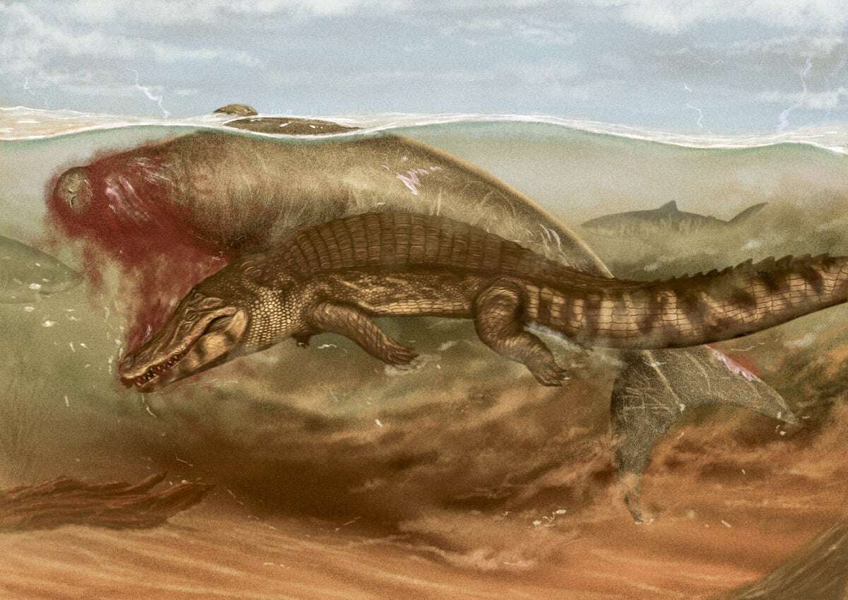 This Ancient Sea Cow Was Killed by a Croc and Eaten by a Shark