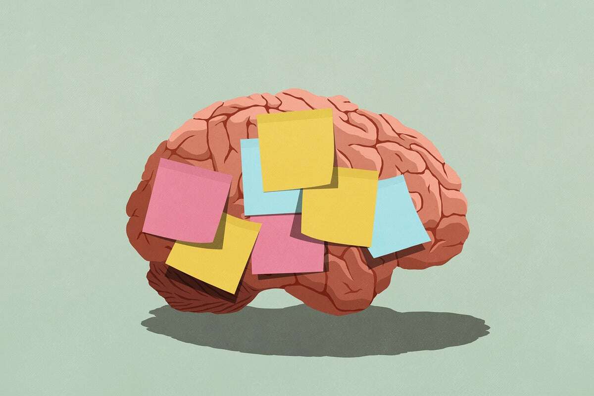 The Best Strategy for Learning May Depend on What You’re Trying to Remember