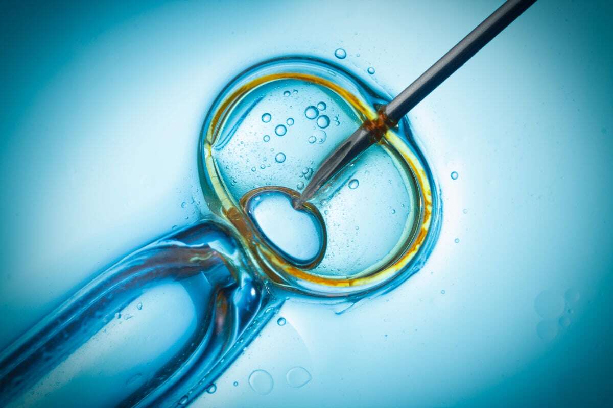 How Arguments that Embryos Are People Pose a Threat to IVF