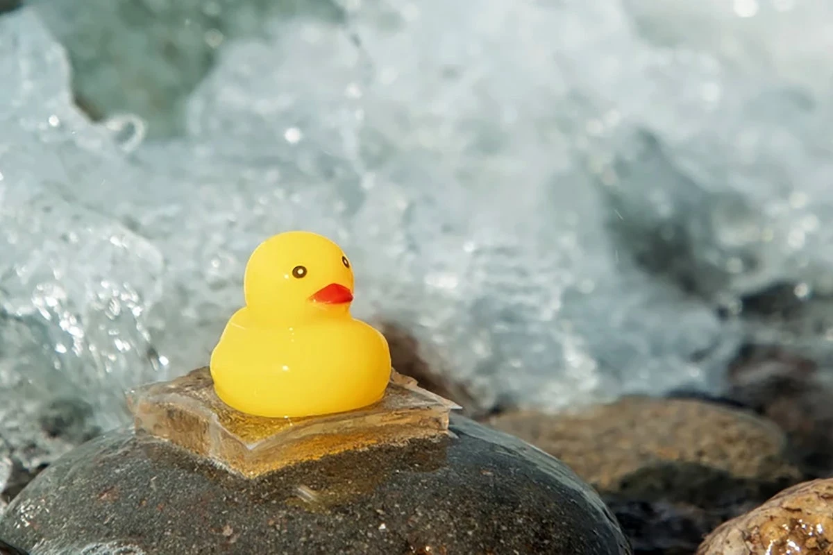 AI-Designed Hydrogel Inspired by Nature Creates Ultra-Strong Underwater Adhesive