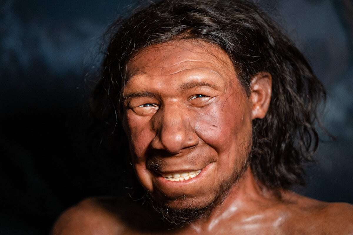 Human Origins Look Ever More Tangled with Gene and Fossil Discoveries 