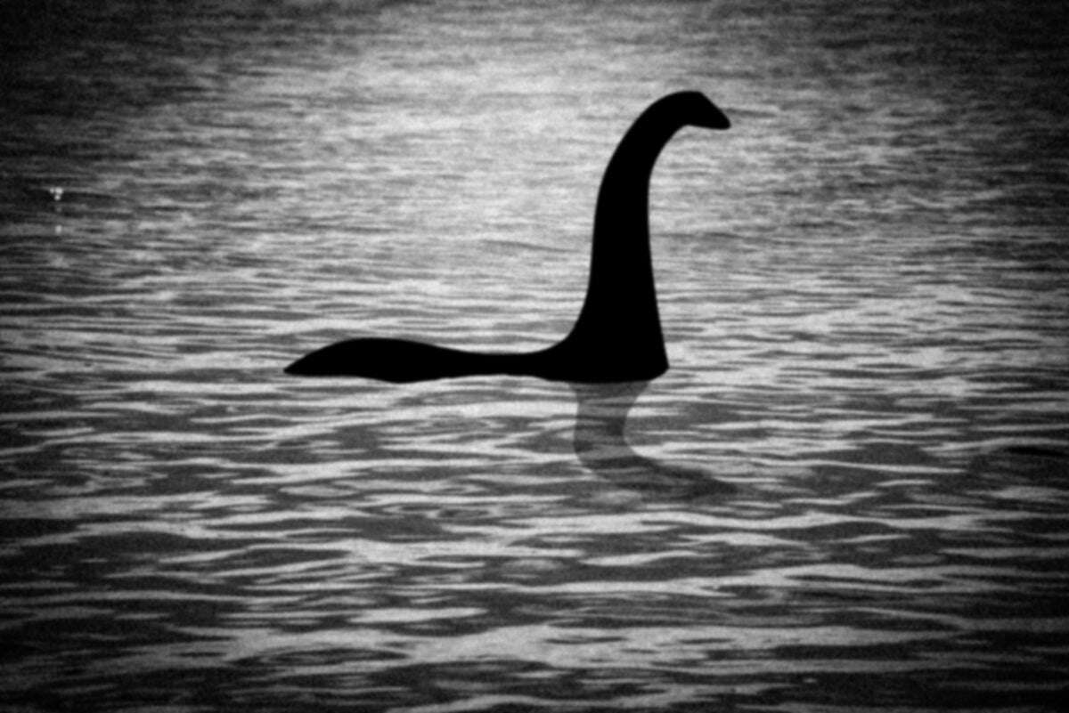 Bizarre ‘Loch Ness Monster’ Microbe Hunts with a Hyperextensible Origami Neck