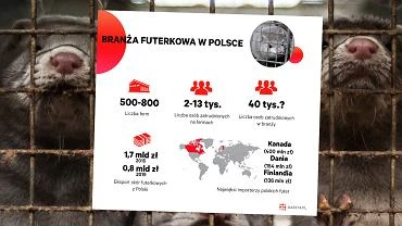 Brana futerkowa w Polsce. Niszowa, z problemami, ale wpywowa. Moe jeszcze napsu krwi [WYKRES DNIA]