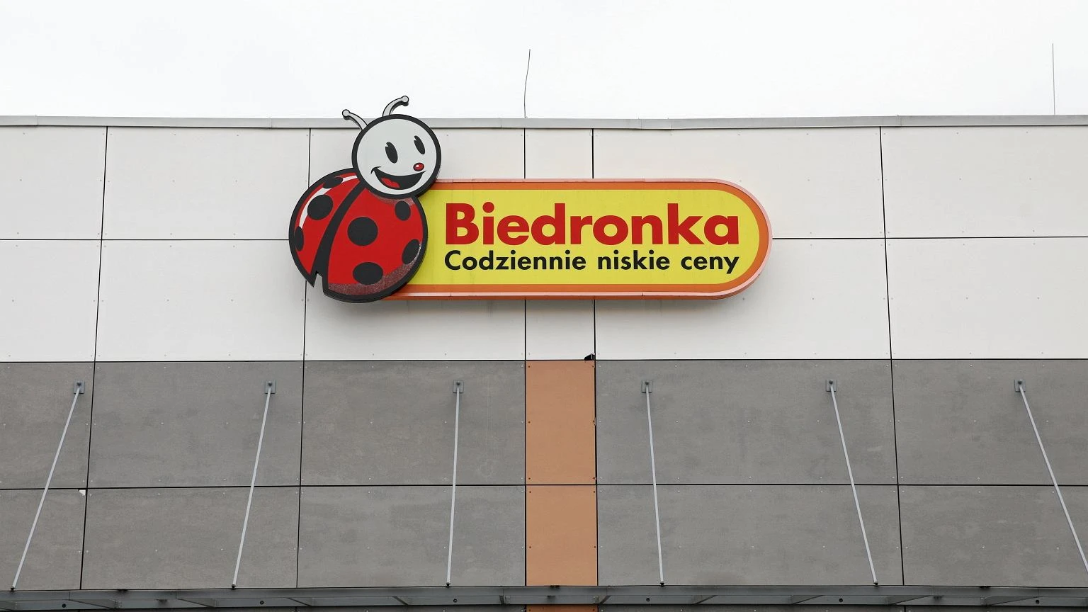 Biedronka rzuca cenowy hit, a Polacy ruszają po niego jak po złoto. Jeszcze taniej w Castoramie