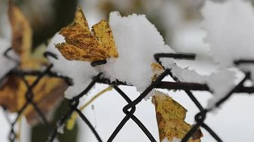 Grudzie. Pogoda dugoterminowa. Temperatura nieco wysza ni zwykle