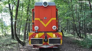 Tarnowskie Gry. Pijany 27-latek usn na torach. Przejechaa po nim kolejka wskotorowa