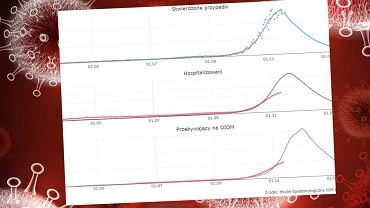 Narodowa kwarantanna nieco si oddala. Wedug naukowcw kluczowy bdzie 17 listopada [WYKRES DNIA]