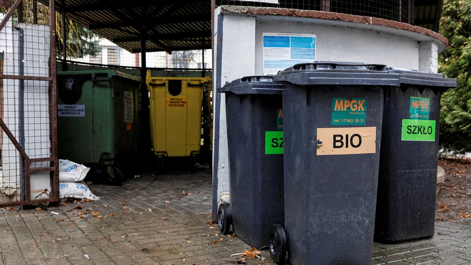 Gdzie wyrzucić ziemię z doniczek? Wcale nie do bioodpadów. Wiele osób wybiera zły kosz