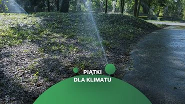 Jak oszczdza wod? Wany nie tylko zakrcony kran, ale te... koszenie trawy czy nasza dieta