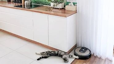 Roboty sprzątające. Które modele wziąć pod uwagę podczas wyboru odkurzacza samobieżnego?