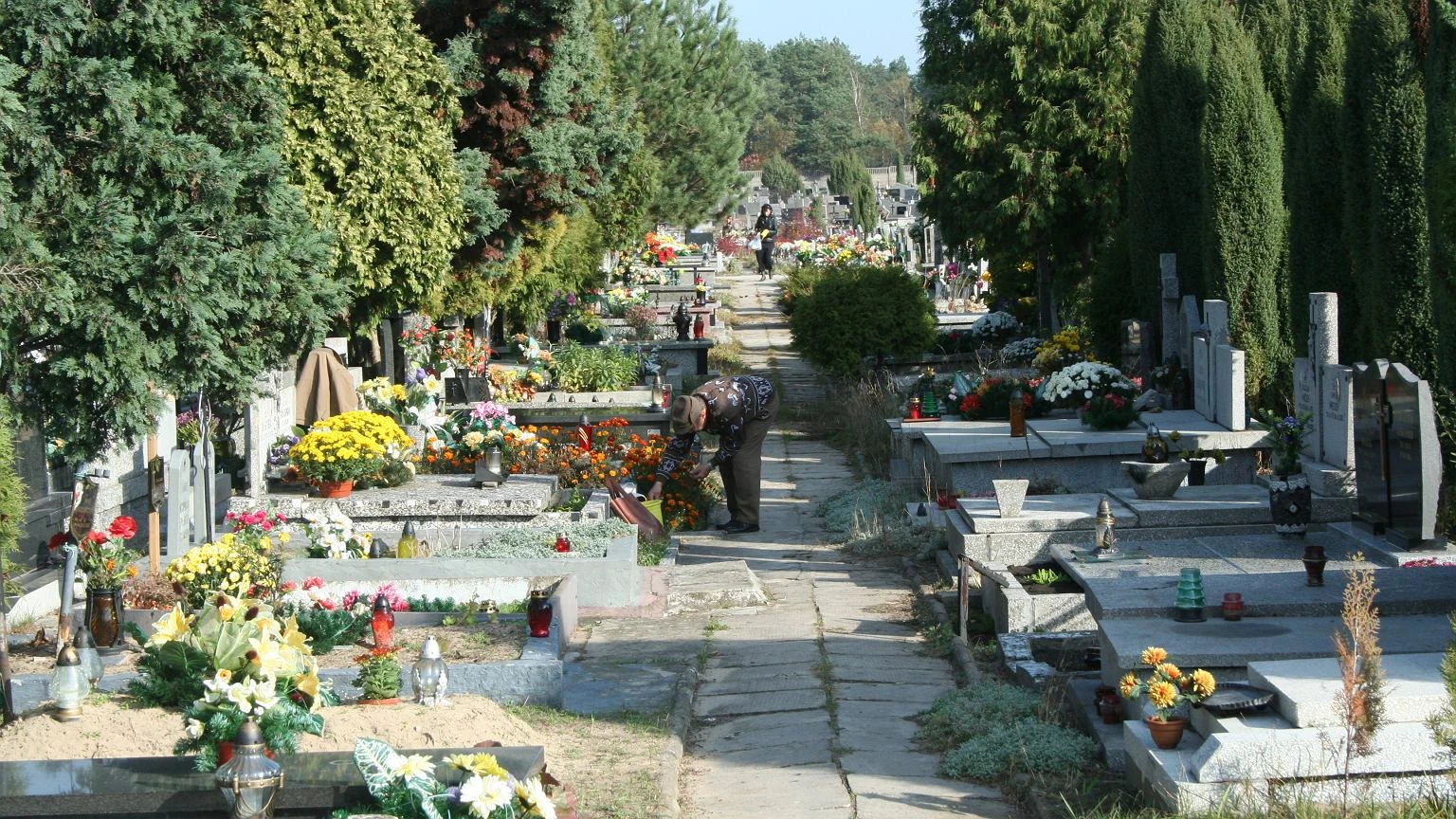 Opłaty cmentarne do zwrotu? Zdumiewający wyrok sądu. Samorządy mają poważne kłopoty