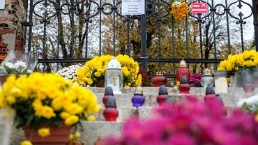 Ile za niesprzedane chryzantemy? Minister rolnictwa poda stawki