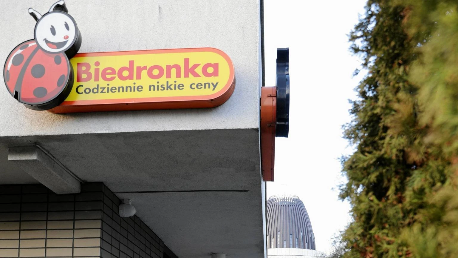 Tego jeszcze nie grali. Kupisz w Biedronce i dostaniesz prezent za 9,99 zł. Hit też w Empiku
