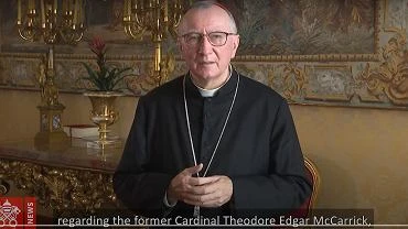 Watykan publikuje raport o pedofilii, nazwisko Dziwisza pada 45 razy. McCarrick mwi mu, e jest niewinny