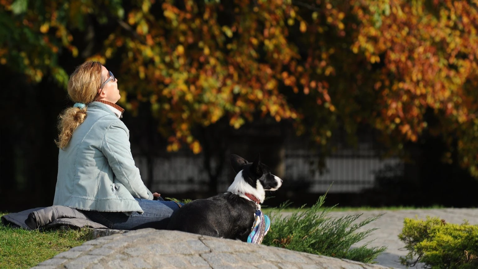 Wskazali najmÄdrzejsze kraje Ĺwiata. Polska w czoĹĂłwce. JesteĹmy tuĹź za Niemcami