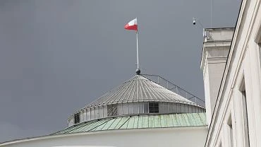 Parlamentarny Zesp ds. Opieki Okooporodowej ma trzech czonkw. Wszyscy to posowie Konfederacji