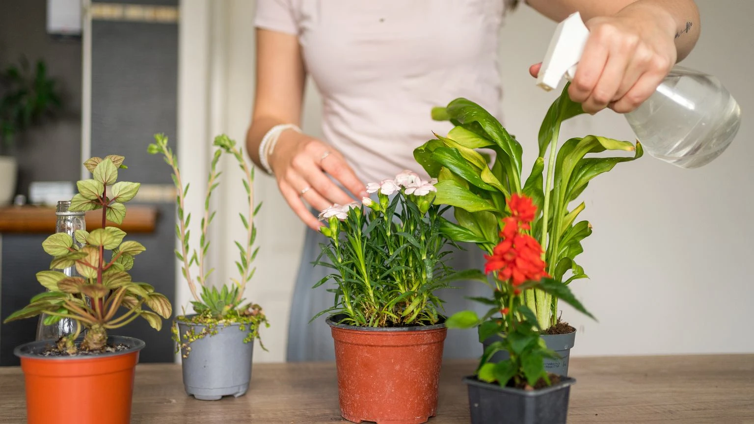 Zieleń dosłownie rozkwita w ich dłoniach. Dwa znaki zodiaku mają naturalny dar do roślin
