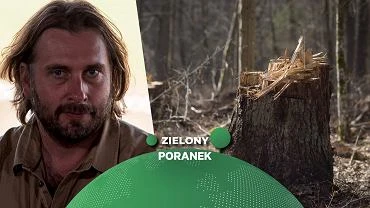 Adam Wajrak gociem Zielonego Poranka Gazeta.pl
