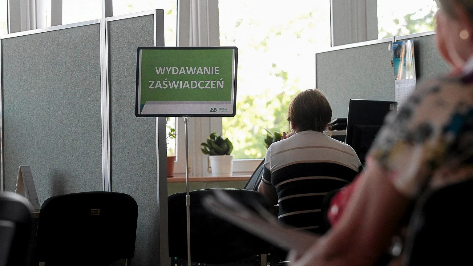 Marzy ci się praca w ZUS? Na kokosy nie licz. Tyle urzędnik dostaje 