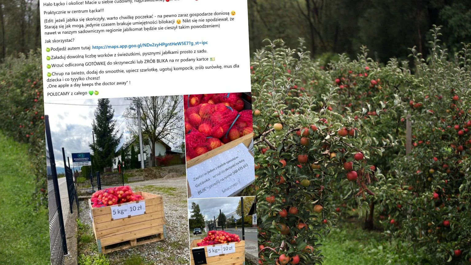 Skrzynia przy drodze i kartka z numerem telefonu. 