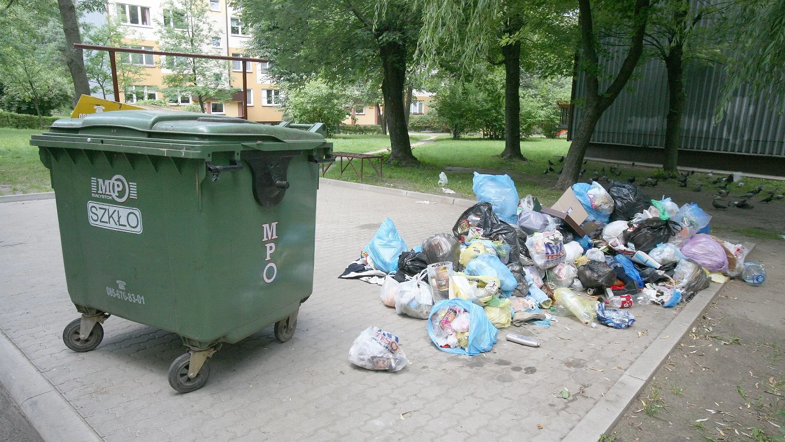 Nadchodzi rewolucja w segregacji śmieci. Te odpady będziesz umieszczać w całkiem nowym kontenerze