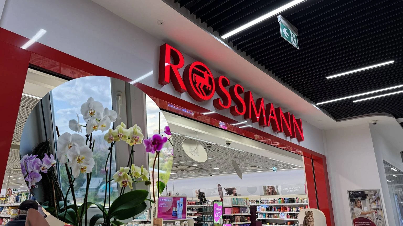 Kupiłam za 3,99 zł w Rossmannie i uratowałam storczyki. Wystarczyło jedno użycie. A co w Kauflandzie?