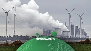 PE chce zwikszenia redukcji emisji CO2 o 60 proc. Stanowisko poparo 11 europosw z Polski