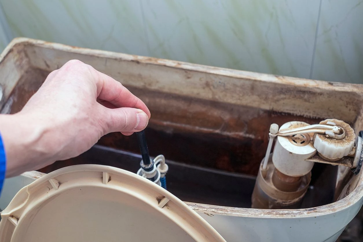 Co tydzień wrzucam do spłuczki. Rozwiązuję dwa problemy od ręki