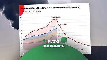 Neutralno klimatyczna. Decyzje w najbliszej dekadzie odegraj kluczow rol